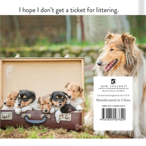 Animal Puns: Quack Me Up Book - Picture 2 of 7